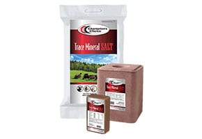 CC-Trace-Mineral-Bag-Block-Brick
