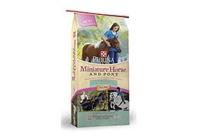 purina-mini-horse